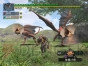 『モンスターハンター』