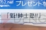 『ガンスリンガー ストラトス2』