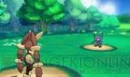 『ポケットモンスター オメガルビー・アルファサファイア』