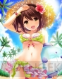 『ゲームアプリ水着美少女 公約付き横断総選挙2014』