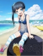 『ゲームアプリ水着美少女 公約付き横断総選挙2014』