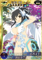 『ミリオンアーサー』×『閃乱カグラ』