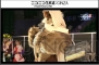 “ファンタシースター感謝祭2014”