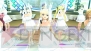 『ドリームクラブ ホストガールオンステージ』