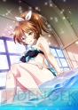 『ゲームアプリ水着美少女 公約付き横断総選挙2014』