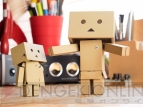 『DANBOARD USB HUB』