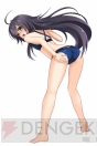 『ゲームアプリ水着美少女 公約付き横断総選挙2014』