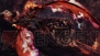 『Crimson Dragon』