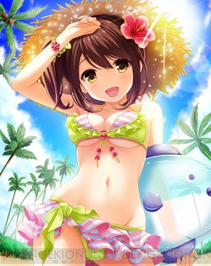 『ゲームアプリ水着美少女 公約付き横断総選挙2014』