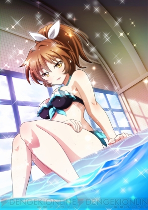 『ゲームアプリ水着美少女 公約付き横断総選挙2014』