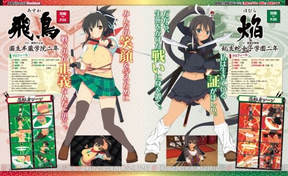 美少女いっぱいの増刊号『電撃Nintendo Heroines!』誕生！『閃乱カグラ2 －真紅－』特製トランプ＆ビックサイズ両面ポスター付き！ -  電撃オンライン