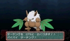 『ポケットモンスター オメガルビー・アルファサファイア』