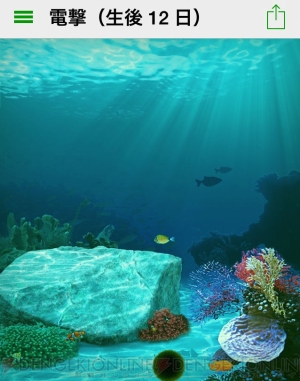 おすすめ癒しアプリ集 猫 旅行 数十万円のオルゴールでストレスとさよなら 電撃オンライン