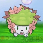 『ポケットモンスター オメガルビー・アルファサファイア』