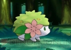 『ポケットモンスター オメガルビー・アルファサファイア』