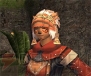 『ファイナルファンタジーXI』