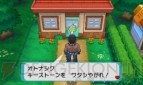 『ポケットモンスター オメガルビー・アルファサファイア』