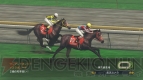 『ウイニングポスト8 2015』