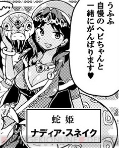 『ウチの姫さまがいちばんカワイイ 特典アイテム付きビジュアルブック』