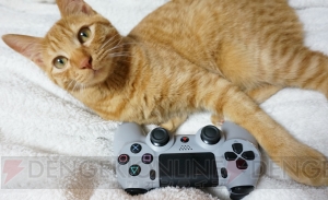 『PS4 20周年アニバーサリー エディション』開封！ PS4のグラビア写真に本気を出した