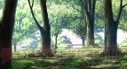 『Angel Beats！』