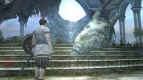 『ドラゴンズドグマ オンライン』