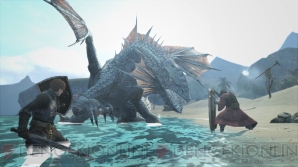 『ドラゴンズドグマ オンライン』