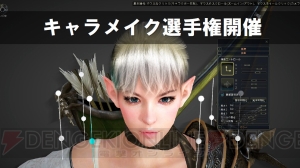 『黒い砂漠』重大発表！ OPサービスの開始日や“リトルサマナー”の存在が明らかに【超会議2015】