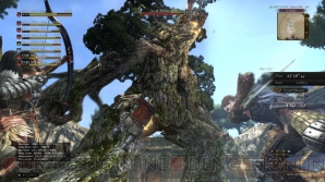 『ドラゴンズドグマ オンライン』