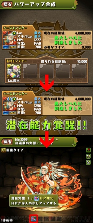 『パズル＆ドラゴンズ』