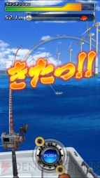 『サカナコネクション』