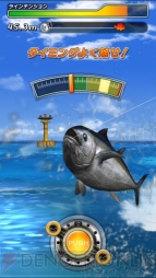 『サカナコネクション』