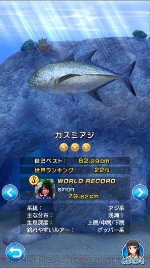 『サカナコネクション』