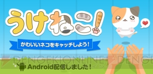 愛らしいネコをキャッチする『うけねこ！』のAndroid版が配信中