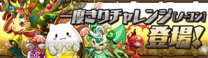 『パズル＆ドラゴンズ』