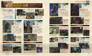 【電撃PS】『ドラゴンズドグマ オンライン』最速攻略32P！ ジョブやクエスト、モンスターデータを全部見せます