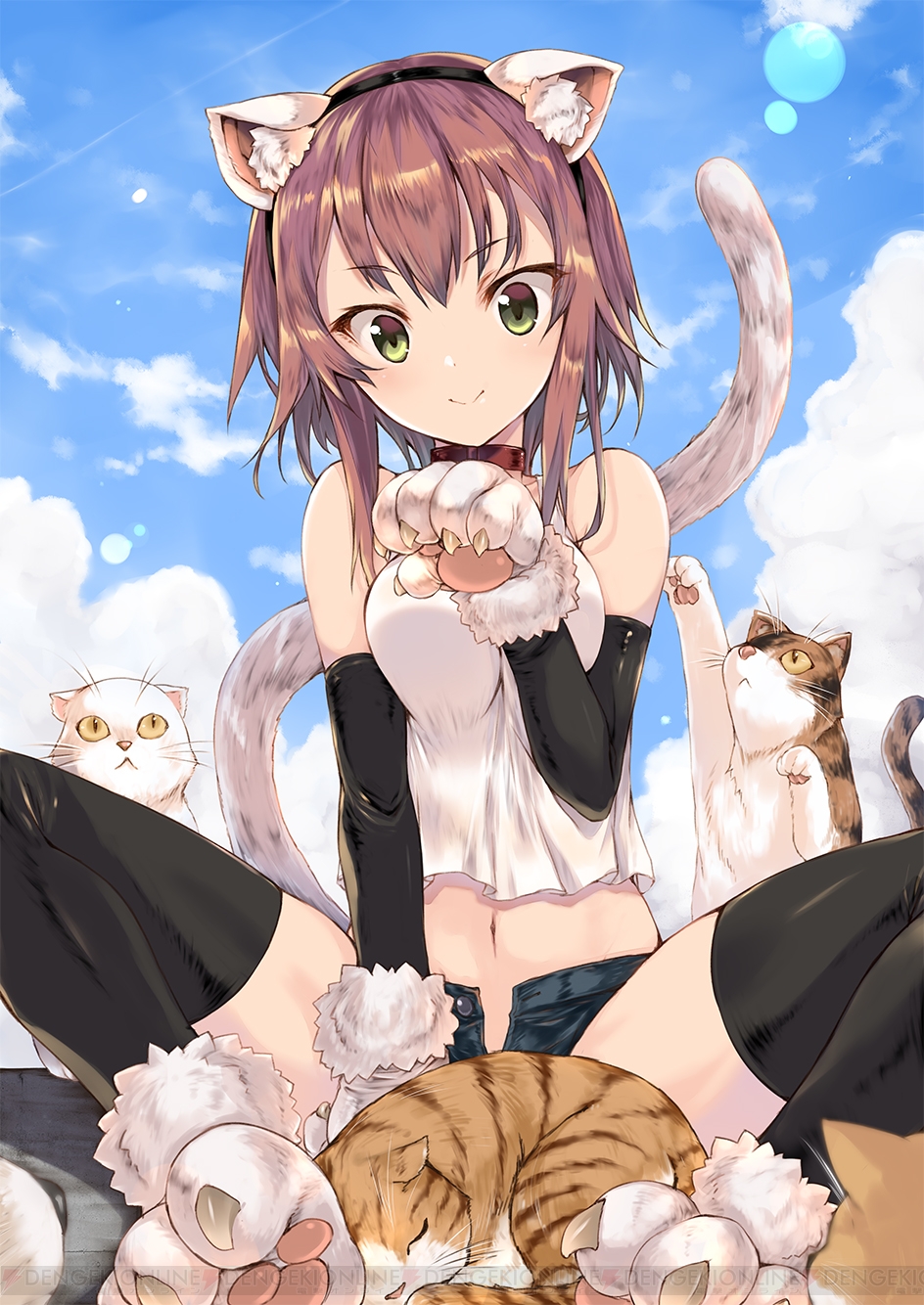 CR百花繚乱サムライブライド - p-world