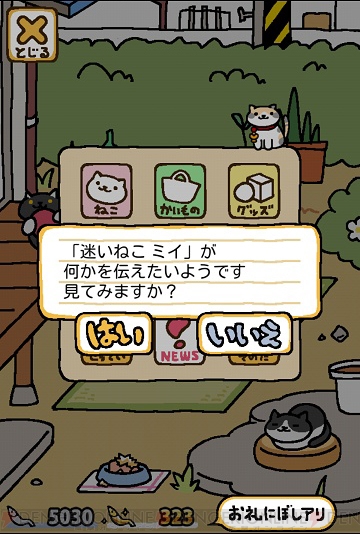 ねこあつめ に 先生と迷い猫 の薄三毛猫ミイさん登場 特製手ぬぐいプレゼントも 電撃オンライン