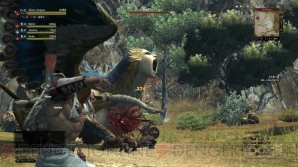 『ドラゴンズドグマオンライン』