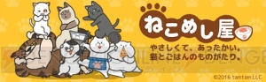 ねこ×ご飯×愛情のハートフルな物語。アプリ『ねこめし屋』が1月28日に配信