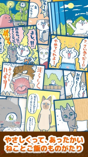 『ねこめし屋』