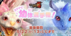 『モンスターハンター スピリッツ 狩魂』モンハン部 幼体キャンペーン第2弾【カワイイ幼体選手権】開催！