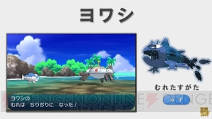 ライチュウ、ニャースの新たな姿やスカル団の幹部が公開。『ポケモン サン・ムーン』最新情報