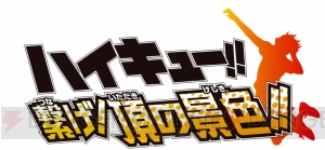 『ハイキュー!!』3DS用ソフト2作品が3,819円（3期ハイキュー!!円）で買える