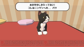 『Catlateral Damage（にゃんこラテラル・ダメージ）』