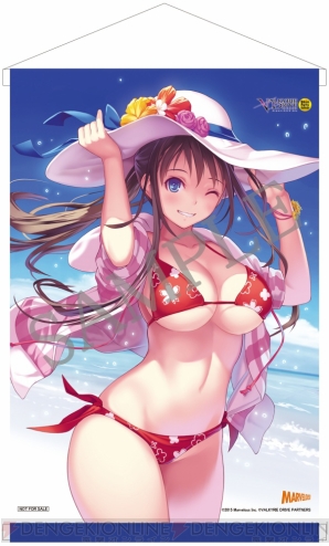 『VALKYRIE DRIVE -BHIKKHUNI- Bikini Party Edition』