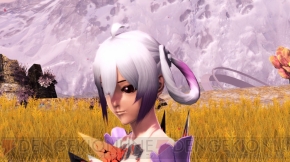 『ファンタシースターオンライン2』