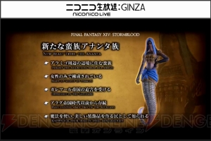 『FF14 紅蓮のリベレーター』新ジョブ・赤魔道士実装決定や水中アクションが発表