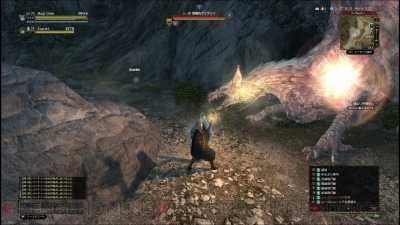 Ddon攻略 ソロプレイ時のオススメポーンは スキルやアビリティ レベル上げポイントを紹介 電撃オンライン