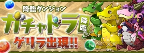 『パズル＆ドラゴンズ』